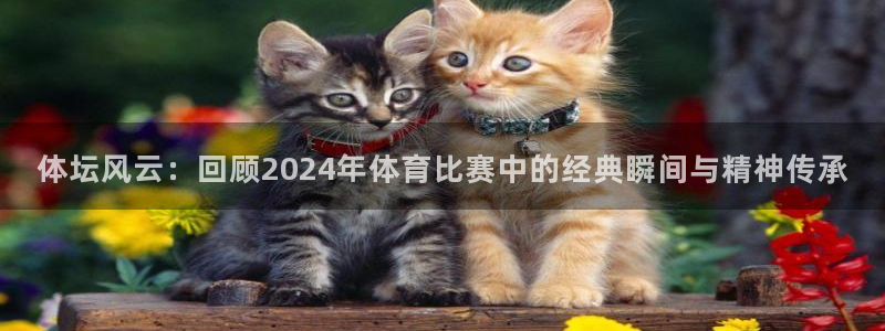 体坛风云：回顾2024年体育比赛中的经典瞬间与精神传承