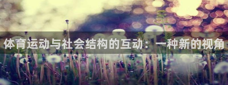 体育运动与社会结构的互动：一种新的视角