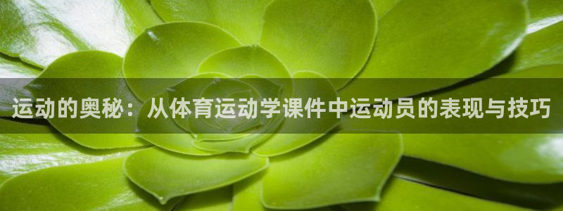 运动的奥秘：从体育运动学课件中运动员的表现与技巧