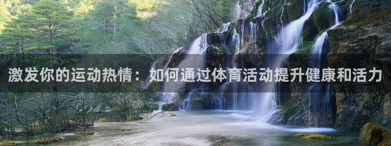 激发你的运动热情：如何通过体育活动提升健康和活力